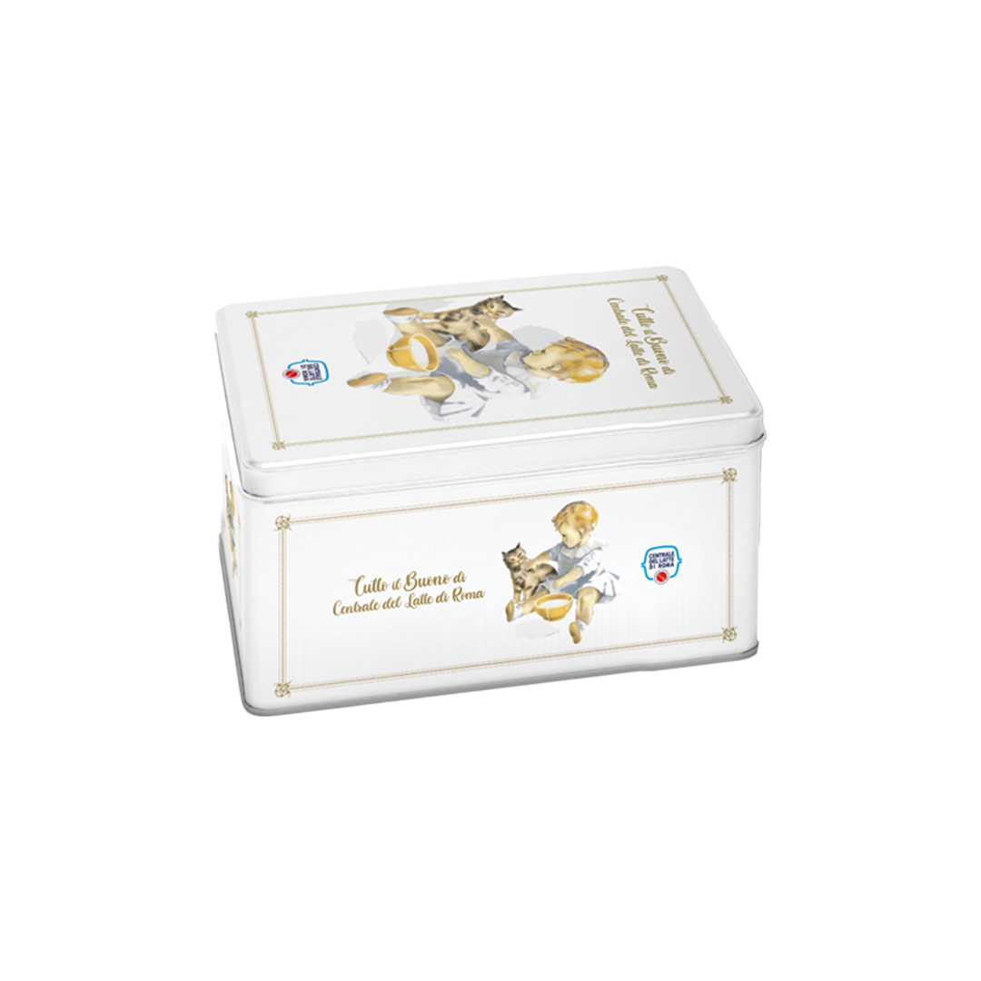 Plumcake cacao in scatola di latta